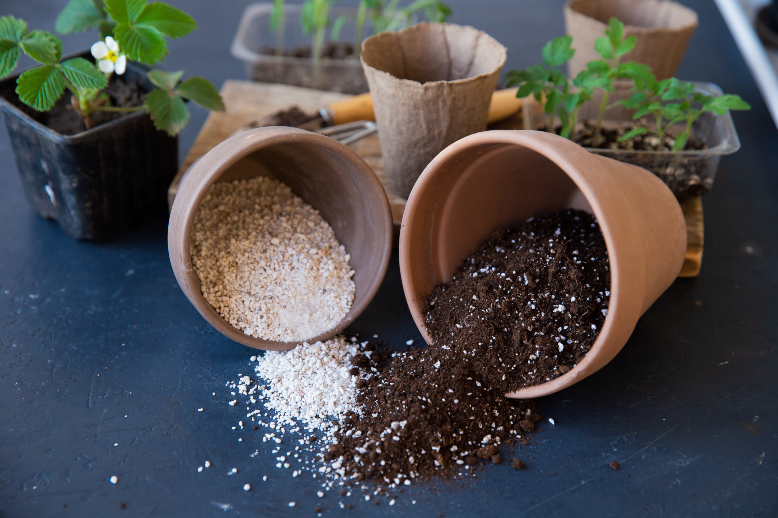 How Perlite Improves Water Drainage in Plant Growth